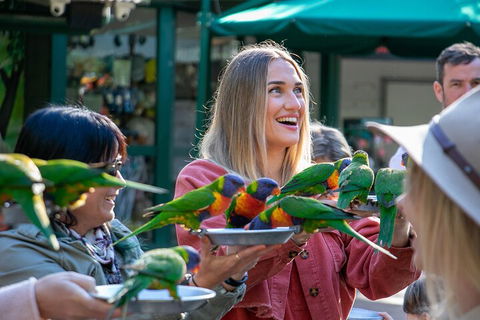 Currumbin Wildlife Sanctuary General Entry Ticket - Accommodation 4U 3