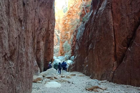 West MacDonnell Private Tour With Transfer - Accommodation 4U 0