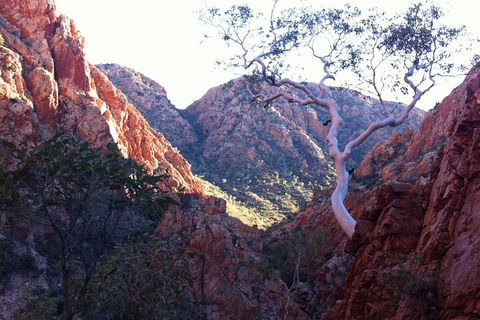 West MacDonnell Private Tour With Transfer - Accommodation 4U 3