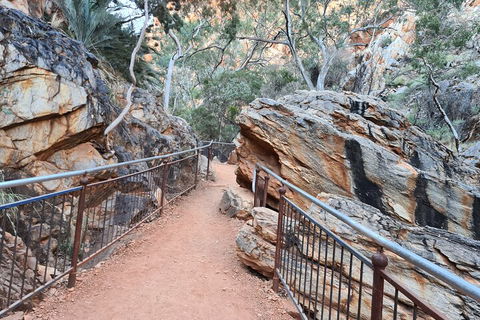 West MacDonnell Ranges Half - Day Tour - Accommodation 4U 0