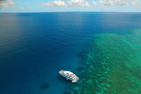 Great Barrier Reef Snorkeling And Diving Cruise From Cairns - Accommodation 4U 4