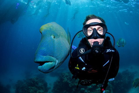 Full Day Reef Cruise Including 10 Minute Heli Scenic Flight: Get High Package - Accommodation 4U 1