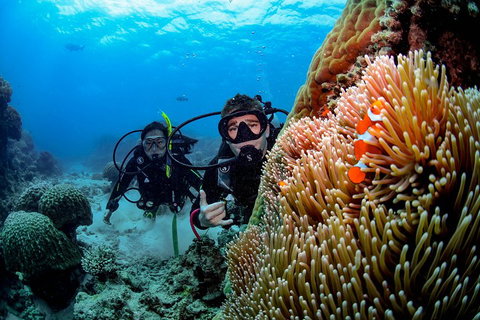 Full Day Reef Cruise Including 10 Minute Heli Scenic Flight: Get High Package - Accommodation 4U 5