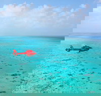 Port Douglas Scenic Flights - Accommodation 4U