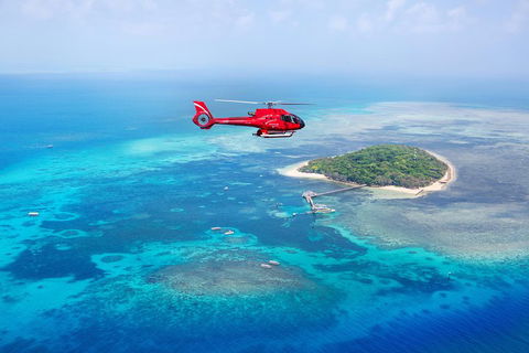 Ultimate Great Barrier Reef And Rainforest 45-minute Helicopter Tour - Accommodation 4U 4