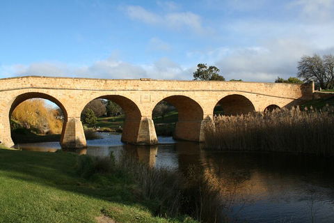 Mt. Wellington, Bonorong And Richmond Day Tour From Hobart - Accommodation 4U 4