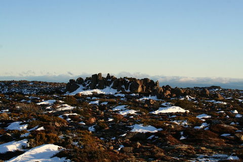 Mt. Wellington, Bonorong And Richmond Day Tour From Hobart - Accommodation 4U 5
