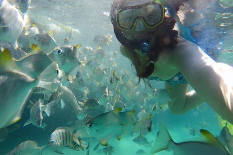 Moreton Island Snorkel And Sandboarding 4WD Day Trip From Brisbane - Accommodation 4U 3