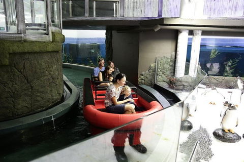 Sydney Attractions Pass: SEA LIFE Aquarium, Sydney Tower Eye, WILD LIFE Zoo And Madame Tussauds - Accommodation 4U 0