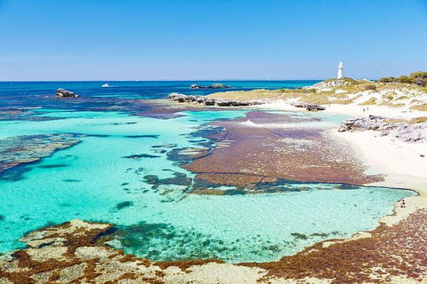 Rottnest Island Bike & Ferry Package From Fremantle - Accommodation 4U 5