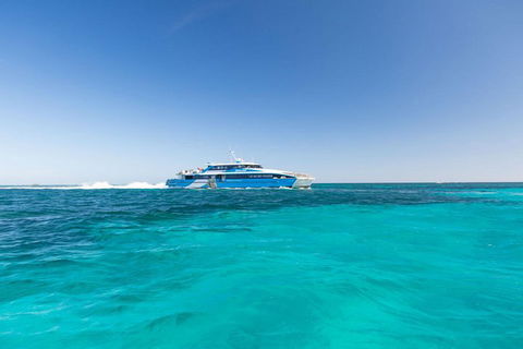 Rottnest Island Bike, Snorkel & Ferry Package From Perth - Accommodation 4U 1