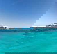 Rottnest Island Bayseeker Day Trip from Perth - Accommodation 4U