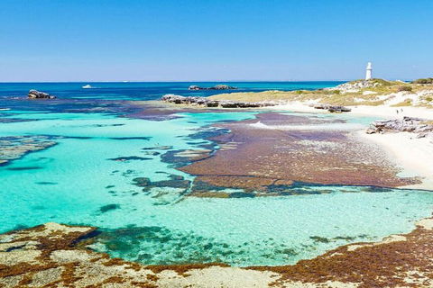 Rottnest Island Bayseeker Day Trip From Perth - Accommodation 4U 4