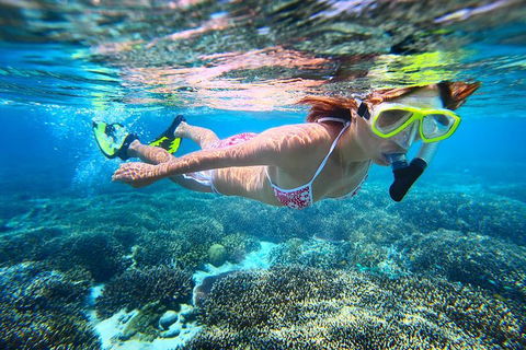 Abrolhos Islands Scenic Flight & Snorkel Adventure From Perth - Accommodation 4U 1