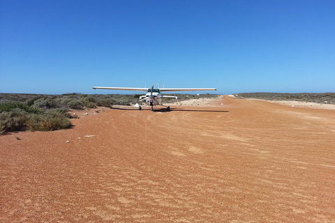 Abrolhos Islands Scenic Flight & Snorkel Adventure From Perth - Accommodation 4U 3
