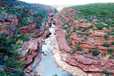 Kalbarri Gorges & West Coast - Ground & Air Tour - Accommodation 4U 0