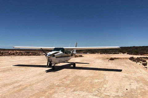 Kalbarri Gorges & West Coast - Ground & Air Tour - Accommodation 4U 4