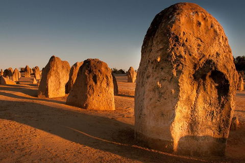 Wave Rock And Pinnacles Air & Ground Tour - Accommodation 4U 1