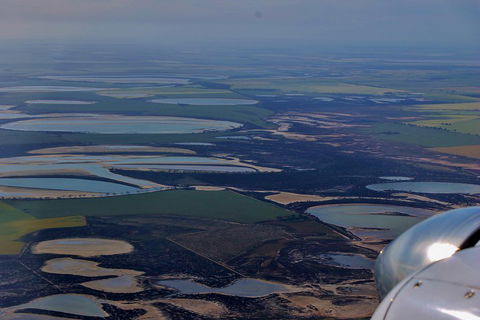 Wave Rock And Pinnacles Air & Ground Tour - Accommodation 4U 4