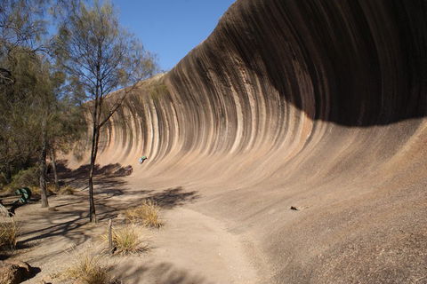 Wave Rock And Pinnacles Air & Ground Tour - Accommodation 4U 5