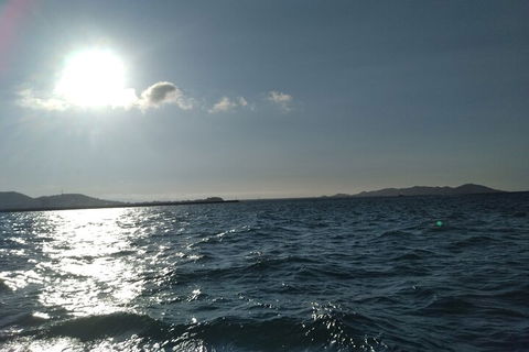 Townsville Small Group Early Morning Sailing Cruise Boat Tour Charter Hire - Accommodation 4U 4