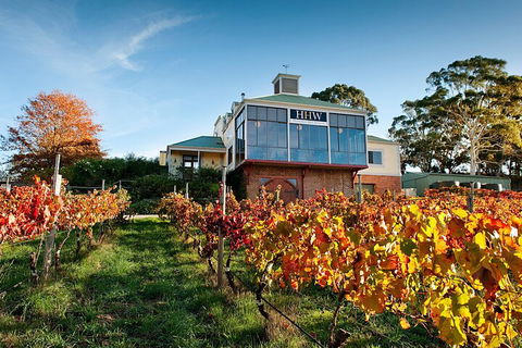 Adelaide Hills Food, Wine, Cheese, & Chocolate - Private Day Tour - Accommodation 4U 3