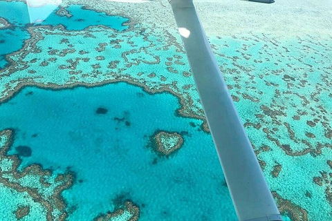 Whitsunday Islands 1-Hour Reef Scenic Helicopter Tour - Accommodation 4U 3