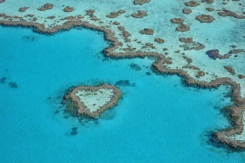 Reef And Island Scenic Flight From Airlie Beach - Accommodation 4U 5