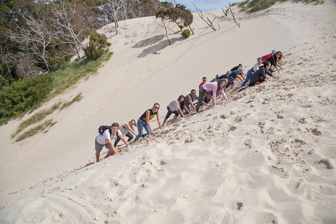6-Day Tasmanian Explorer Adventure Tour From Hobart - Accommodation 4U 2