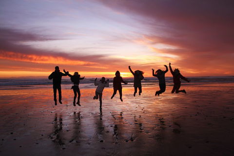 6-Day Tasmanian Explorer Adventure Tour From Hobart - Accommodation 4U 3