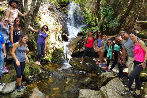 7-Day Super Value Tour Of Tasmania: Explore Tasmania's West And East Coasts - Accommodation 4U 2