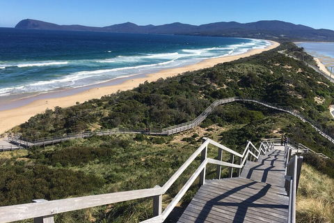 4-Day Fabulous Tasmania Tour: Wineglass Bay, Port Arthur, Devils & Bruny Island - Accommodation 4U 5