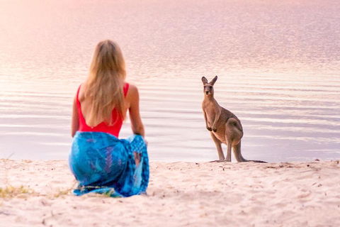 Serenity Cruise To Australia's Everglades - Accommodation 4U 3