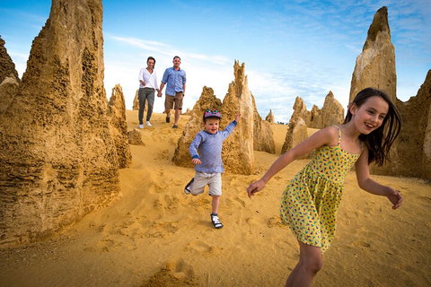 Full-Day Pinnacles Desert And Yanchep National Park Tour From Perth - Accommodation 4U 0