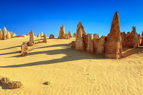 Full-Day Pinnacles Desert And Yanchep National Park Tour From Perth - Accommodation 4U 2