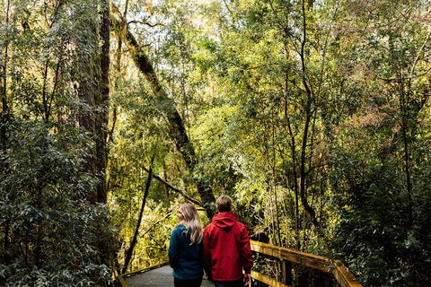 Gordon River Cruise Departing From Strahan - Accommodation 4U 2