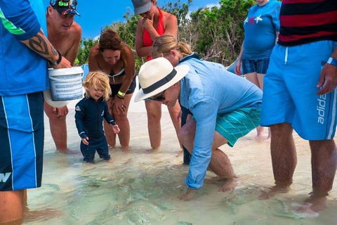 Whitehaven Beach And Hamilton Island Cruise - Accommodation 4U 1