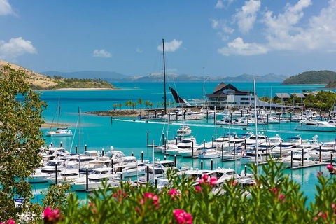 Whitehaven Beach And Hamilton Island Cruise - Accommodation 4U 3