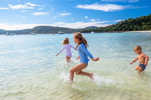 Whitehaven Beach Half-Day Cruises - Accommodation 4U 0