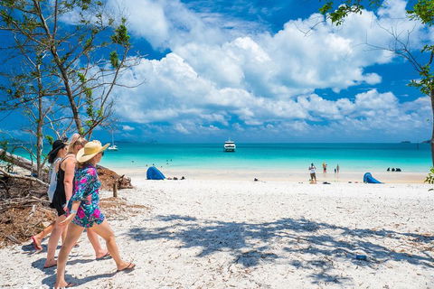 Whitehaven Beach Half-Day Cruises - Accommodation 4U 1