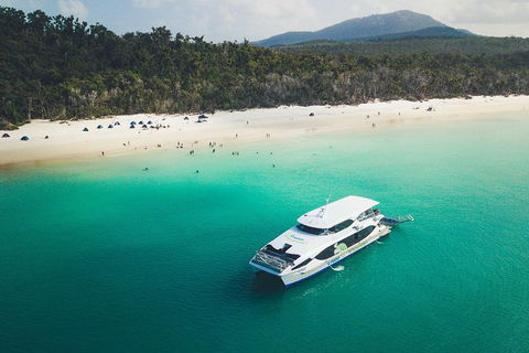 Whitehaven Beach Half-Day Cruises - Accommodation 4U 2