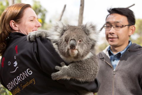 Bonorong Wildlife Park And Richmond Afternoon Tour From Hobart - Accommodation 4U 0