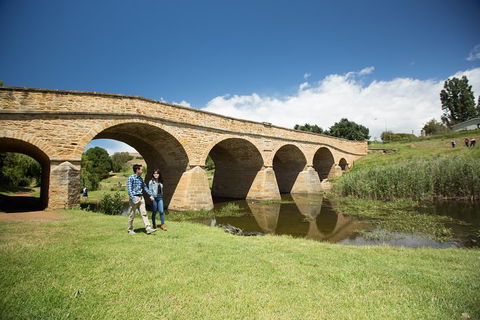 Bonorong Wildlife Park And Richmond Afternoon Tour From Hobart - Accommodation 4U 2