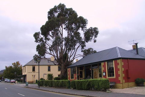 Bonorong Wildlife Park And Richmond Afternoon Tour From Hobart - Accommodation 4U 3