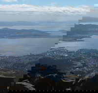 Mt Wellington Tour and MONA Admission - Accommodation 4U
