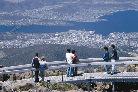 Mt Wellington Tour And MONA Admission - Accommodation 4U 4