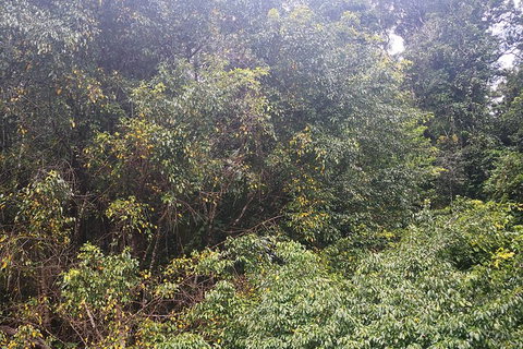 Historic Village Herberton And Tableland Tour - Accommodation 4U 4