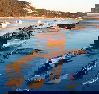 Adventure Moreton Island Wrecks Adventure Package - Accommodation 4U