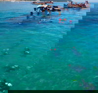 Adventure Moreton Island Scuba Dive Tour - Accommodation 4U