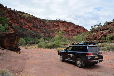Palm Valley And Hermannsburg 1 Day 4WD Tour - Accommodation 4U 5